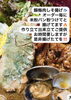 「23日までの営業と鰯梅肉しそ揚げのご案内」