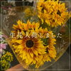 季節の生花が入荷しました