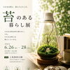 上坂部西公園で「苔のある暮らし展」開催。苔と出会う最初の一歩に