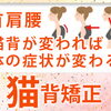 猫背が変われば首・肩・腰も変わる？当院の猫背ご紹介（明石市・整骨）