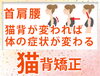 「猫背が変われば首・肩・腰も変わる？当院の猫背ご紹介（明石市・整骨）」