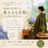 市川市南行徳の黄土よもぎ蒸し＊梅雨〜初夏のむくみ・重だるさ対策に