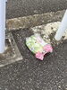 レタス「ありがとうございました【産後ケア・骨盤・整体】」