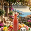 イタリアの太陽を感じる一本。プレミアムオーガニックソーダ「GALVANINA」始めました