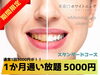 スタンダードコースが更にお得に！「通い放題があと少ししかありません！！！」