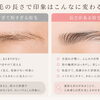 【美眉特集！Vol.4】 眉は「毛流れ」が命✨