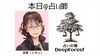 本日の占い師「本日は至恩先生【当たる占いで人気・人生相談・人間関係・恋愛・結婚・仕事・進路・転機・家族との問題・曖昧な悩み・１０分1,500円から・19時以降OK・タロット・四柱推命】」