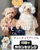 「【🐶パピートレーニング🐶】初回カウンセリング🔰‪」