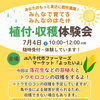 【7月4日開催】落花生🥜の植付＆トウモロコシ収穫体験会のお知らせ🌽