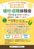 植付・収穫体験会「【7月4日開催】落花生🥜の植付＆トウモロコシ収穫体験会のお知らせ🌽」