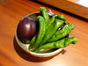 綾部産の賀茂茄子と万願寺とうがらし「綾部産の新鮮な野菜を使用した【あず木ミニコース】✨」