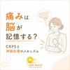 痛みは脳が記憶する？CRPSと「痛みのクセ」の仕組み