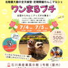 ワンまるプチに出店します⭐️