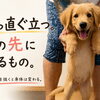 真っ直ぐ立つ、その先にあるもの｜枚方市・樟葉の整体