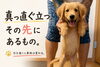 厳選された技術でしなやかな身体へ「真っ直ぐ立つ、その先にあるもの｜枚方市・樟葉の整体」