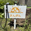 秋の収穫が楽しみ🥔🥕🧅　みんなで育てる菜園　サンサン☆園芸療法☆
