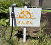 みんなで育てる菜園 さんさん「秋の収穫が楽しみ🥔🥕🧅　みんなで育てる菜園　サンサン☆園芸療法☆」