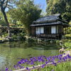 天赦園を散策🪻