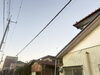 After「樹木伐採施工事例紹介」