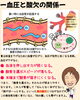 意外？血圧と酸欠の関係性「夏の「なんとなく息苦しい…」その原因とサメミロンでできるインナーケア」