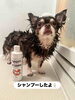 native neem shampoo「native neemペットシャンプーでふわふわもふもふ」