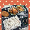 本日のお弁当紹介！