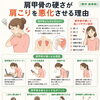 肩甲骨の硬さが肩こりを悪化させる理由【関市 かたぎり接骨院】｜当日予約OK・腰痛/肩こり/交通事故対応