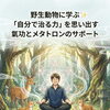 野生動物に学ぶ✨「自分で治る力」を思い出す氣功とメタトロンのサポート