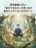 自然との調和で自分を浄化「野生動物に学ぶ✨「自分で治る力」を思い出す氣功とメタトロンのサポート」