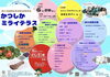 「🚨防災グッズも販売😊6月28日(日)10時〜テクノプラザかつしか「ミライテラス」開催✨葛飾ブランド認定『段ボール箱まくら』も登場🎁【段ボールから夢をカタチに！防災グッズ：段ボール箱まくら・段ボールベッド＆防災トイレ付等】」