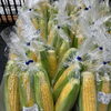 夏野菜増えてきました！