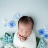 紫陽花に包まれて…ブルートーンのニューボーンフォト