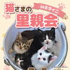 🐾応援投稿🐾