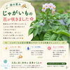 じゃがいもで美しく元気な足