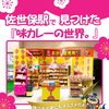 佐世保駅で見つけた味カレーの世界🍛【大和製菓】