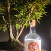 Gallery楓翠庵－庭先－【紺屋町】高知県ジン39と楓の盆栽をカウンターで