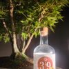 Gallery楓翠庵－庭先－【紺屋町】高知県ジン39と楓の盆栽をカウンターで