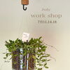 7月workshopのお知らせ
