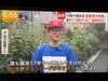 月に数回、取材していただいておりますフジテレビさん👨‍🌾「☆カラフル野菜の小山農園、『newsイット！』無事にオンエア📺☆」