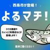  【7/1】あいテレビ「よるマチ！」で「サイモン」が紹介されます！📺🐟