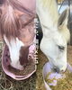 一頭一頭に合わせ、特別メニューを「馬にもそれぞれの「個別メニュー」一頭一頭に合わせたごはん作り」