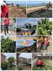 今月も沢山の作業をさせていただきました✨️ありがとうございました😆💕✨「ベンリー福山東🌟６月もありがとうございました😆💕」