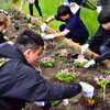 学生と教職員でキャンパス前花壇の植栽を行いました