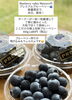 「プレミアムベリー🫐数量限定で販売🤲🏻✨️」