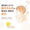 慢性痛は脳そのものの変化かも｜機能神経学アプローチ⑤