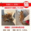 【愛媛県新居浜市】里親募集のお知らせ！