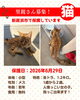 「【愛媛県新居浜市】里親募集のお知らせ！」