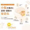 バランスと運動をコントロールする小脳の働き「小脳の働きと姿勢・運動の変化｜機能神経学アプローチ⑦」