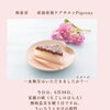 6月30日・夏越の祓に想う、無病息災と穏やかな時間