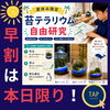 【本日6/30まで】夏休み自由研究ワークショップ早割は本日限り！